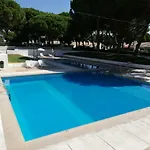 Arvore Da Vida * Αλμπουφέιρα