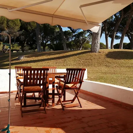 Arvore Da Vida * Albufeira