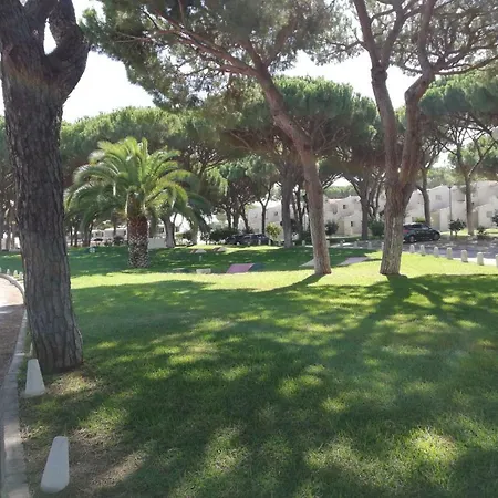 Arvore Da Vida Albufeira