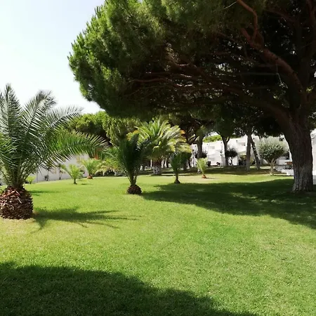 Arvore Da Vida Albufeira