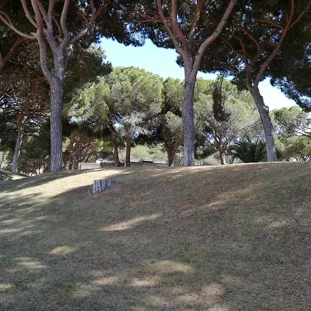 Apartment Arvore Da Vida Albufeira