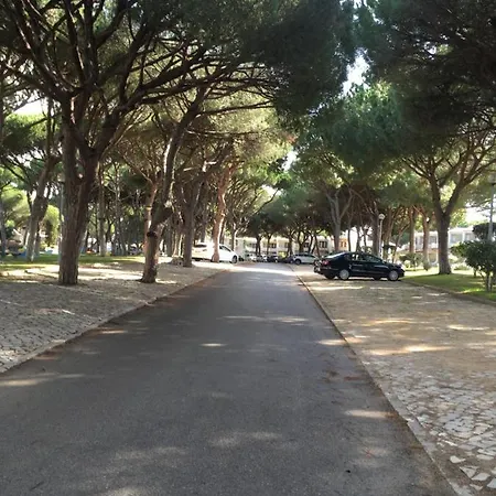Arvore Da Vida Appartement